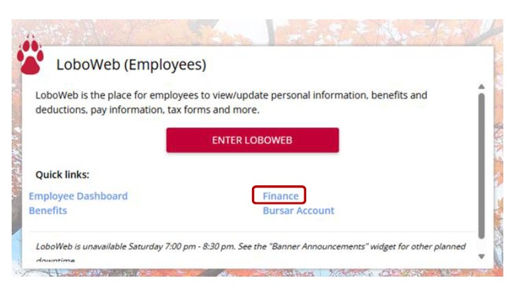 LoboWeb Finance MyUNM